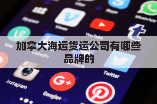 加拿大海运货运公司有哪些品牌的(加拿大海运物流)