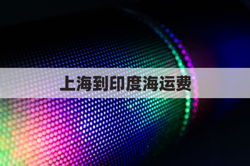上海到印度海运费(上海到印度空运价格)