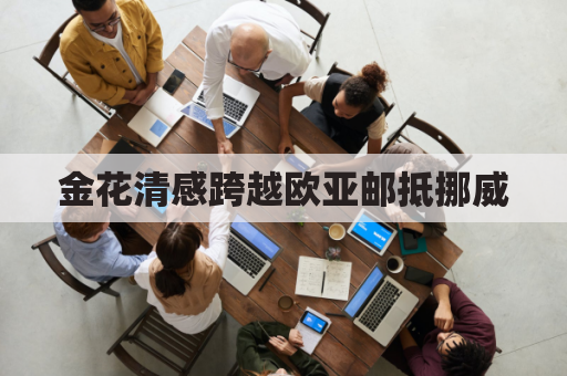 金花清感跨越欧亚邮抵挪威,助力海外防疫