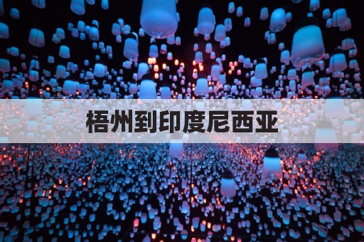 梧州到印度尼西亚(梧州到西双版纳的飞机)