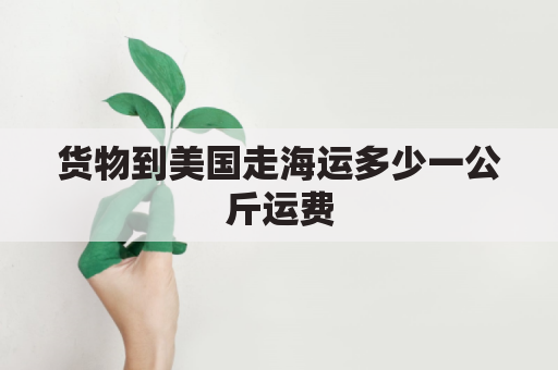货物到美国走海运多少一公斤运费(到美国海运多少钱)