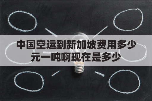 中国空运到新加坡费用多少元一吨啊现在是多少(中国到新加坡空运价格表)