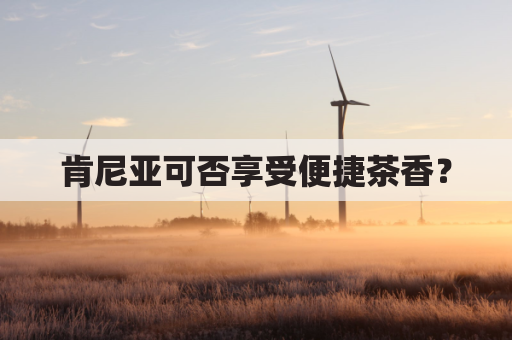 肯尼亚可否享受便捷茶香?