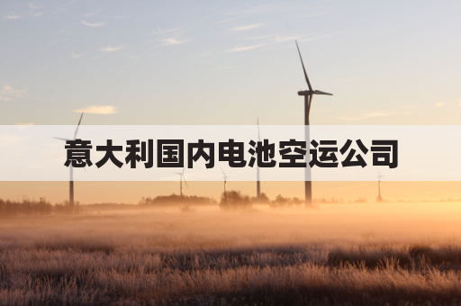 意大利国内电池空运公司(电池国际空运)