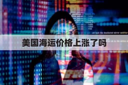 美国海运价格上涨了吗(美国海运费暴涨)