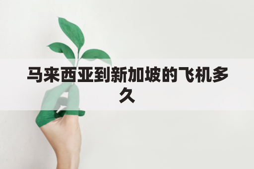 马来西亚到新加坡的飞机多久(马来西亚开车到新加坡)