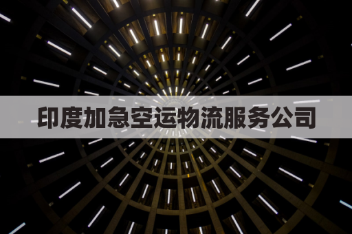 印度加急空运物流服务公司(印度空运价格)