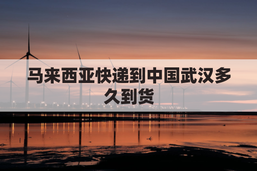 马来西亚快递到中国武汉多久到货(马来西亚到中国快递怎么收费)