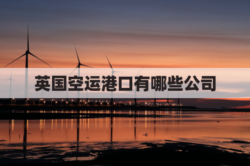 英国空运港口有哪些公司(英国空运港口有哪些公司招聘)