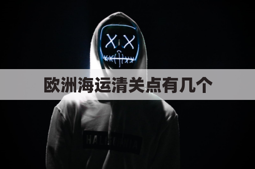 欧洲海运清关点有几个(欧洲快递清关)