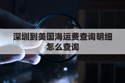 深圳到美国海运费查询明细怎么查询(深圳到美国的海运费)